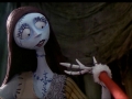 sally3
